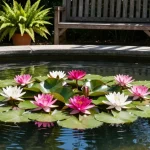 The Proven Water Lilies Framework Used by Gardening Experts to Thrive in 2026